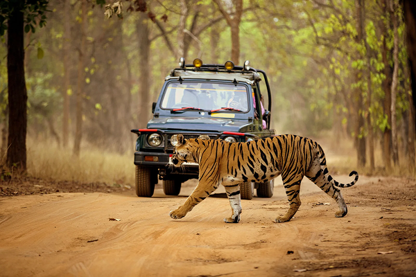 Jim Corbett Tour Packages